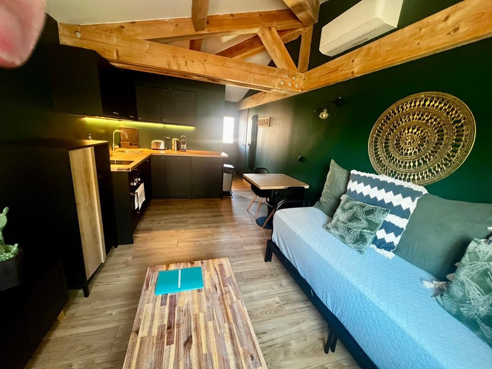 Bed, Kitchen or kitchenette, Living room, Photo of the whole room, Seating area, Bedroom, oven