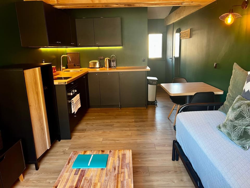 Bed, Coffee/tea facilities, Kitchen or kitchenette, Living room, Photo of the whole room, Seating area, Dining area, Bedroom, oven
