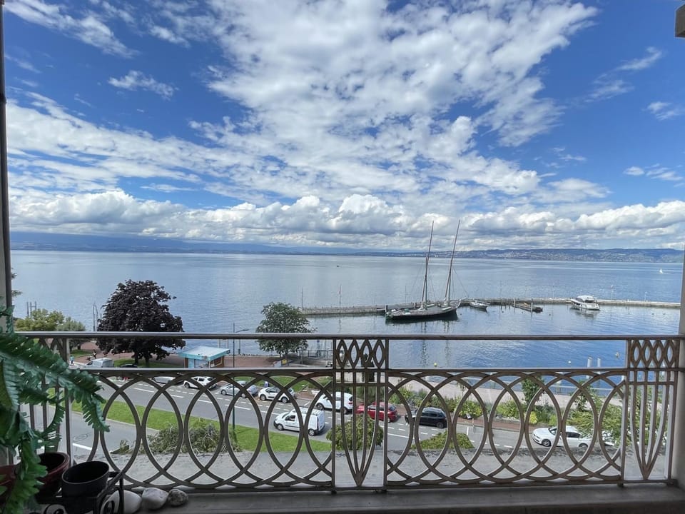 Bel appartement à Évian-les-Bains, animaux admis - FR-1-498-68 Apartment in Évian-les-Bains