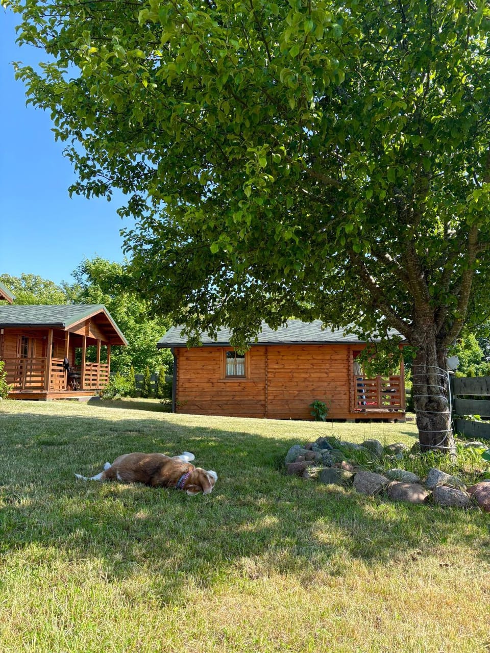 Property building, Activities, Garden