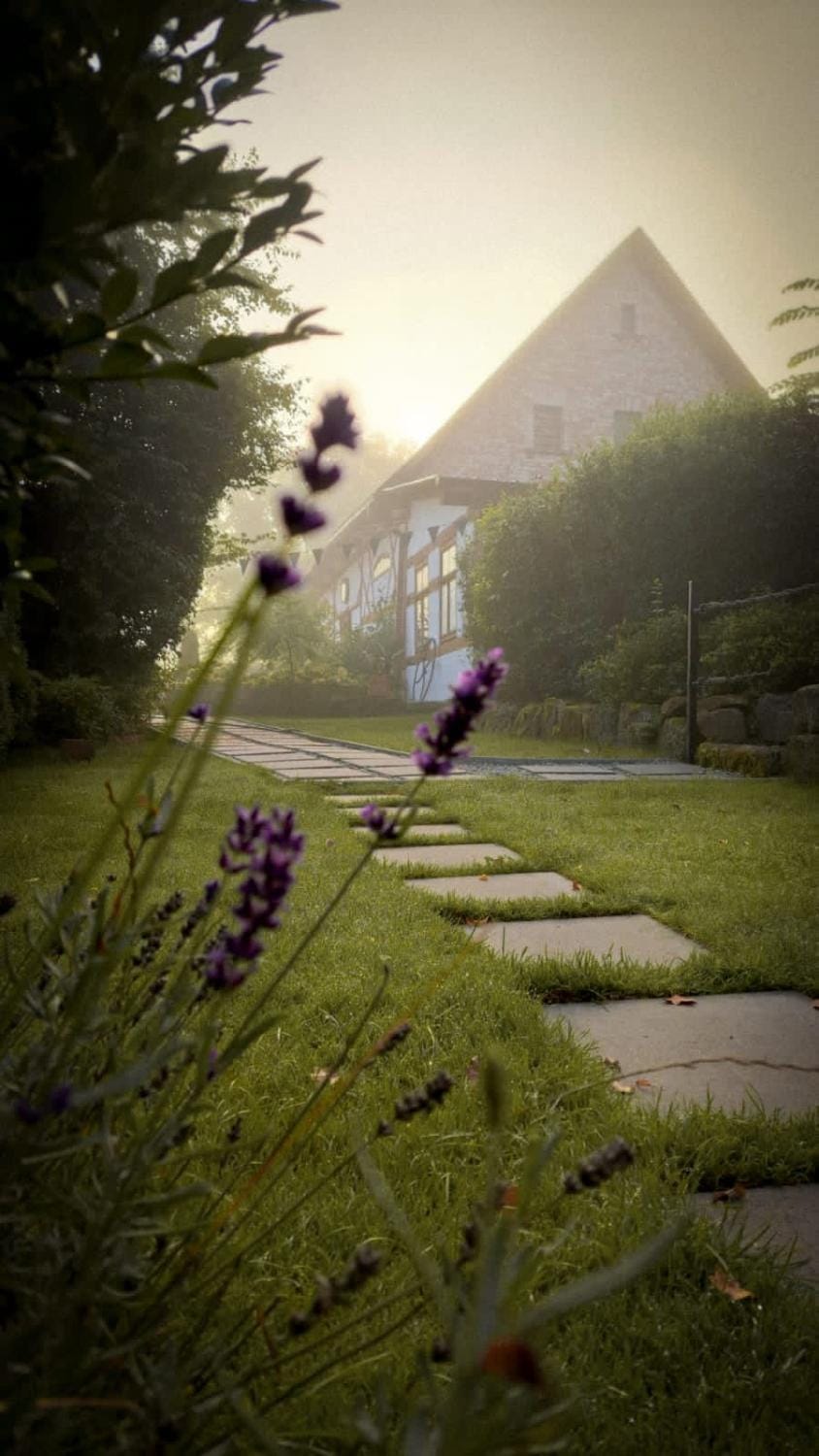 Natural landscape