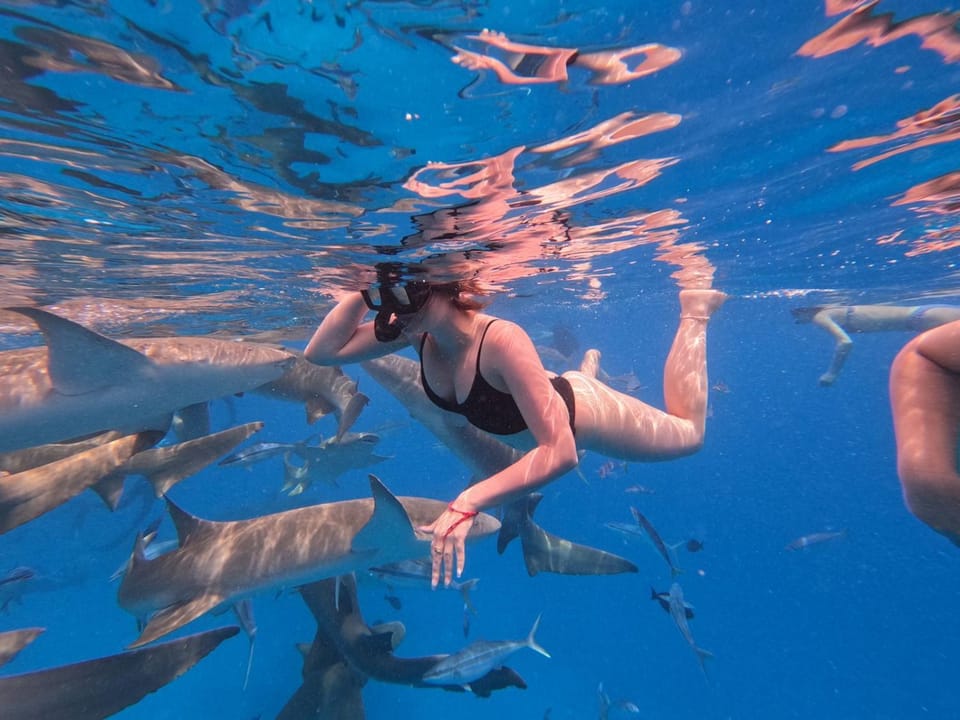 Snorkeling