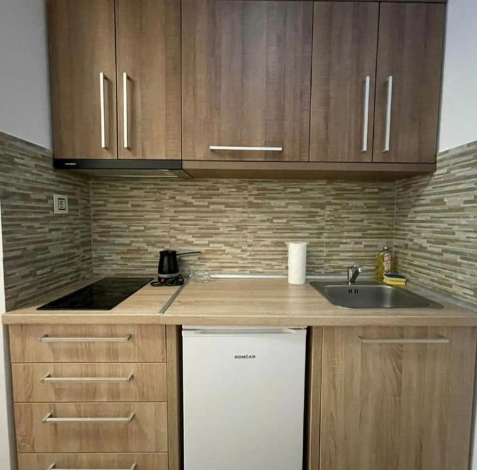 Apartman MS Zlatibor Apartment in Zlatibor