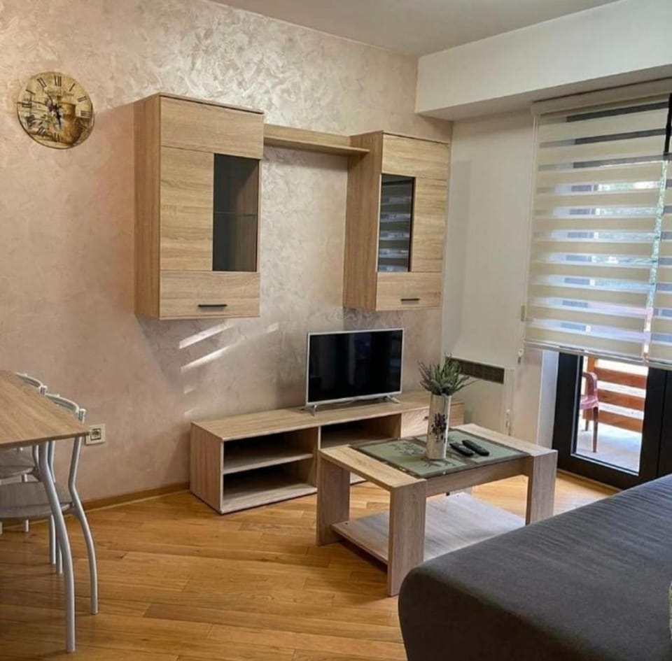 Apartman MS Zlatibor Apartment in Zlatibor