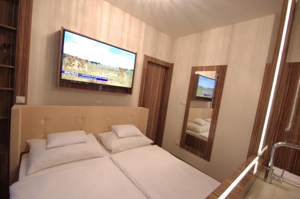TV and multimedia