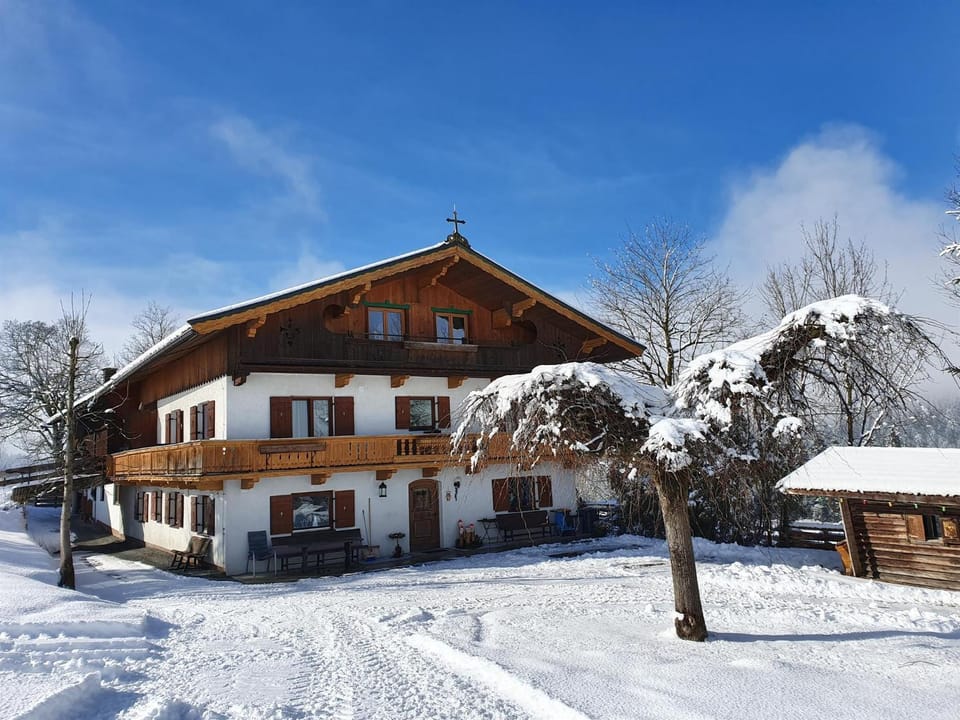 Property building, Day, Winter