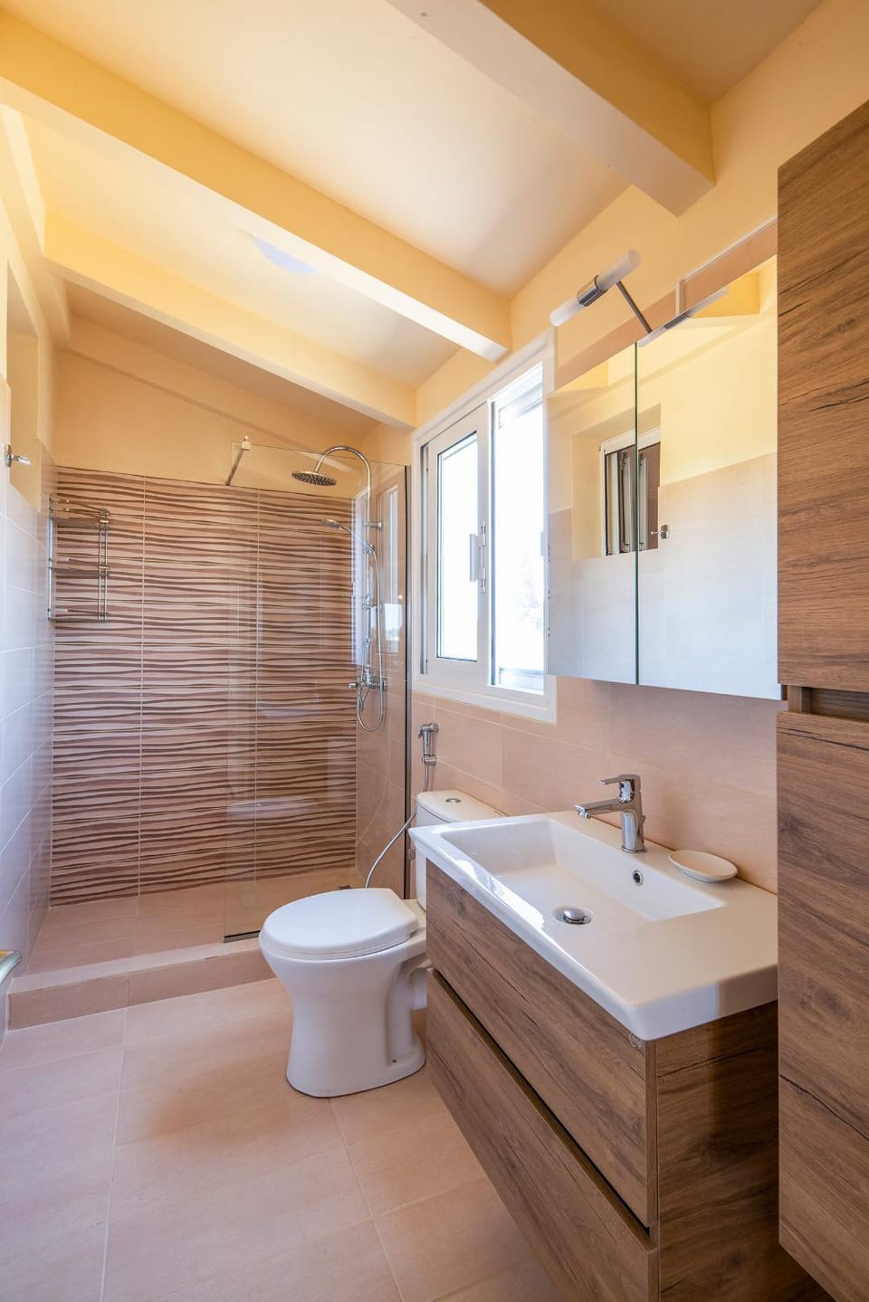 Shower, Toilet, towels