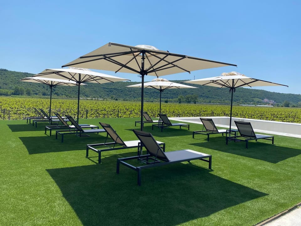 Casa Mulino - where the vineyards meet the sea Bed and Breakfast in Istria County