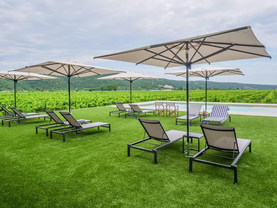 Natural landscape, Garden, Garden view, Pool view, Swimming pool, sunbed