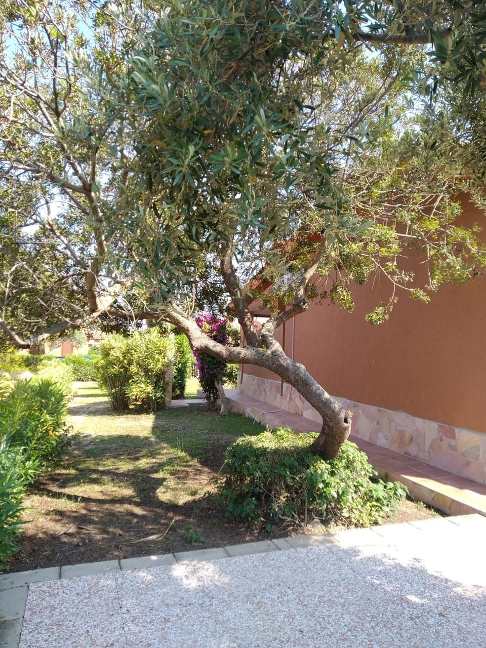 Garden, Garden, Garden view