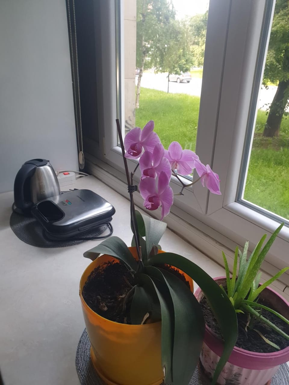 apartman oli Apartment in Sarajevo