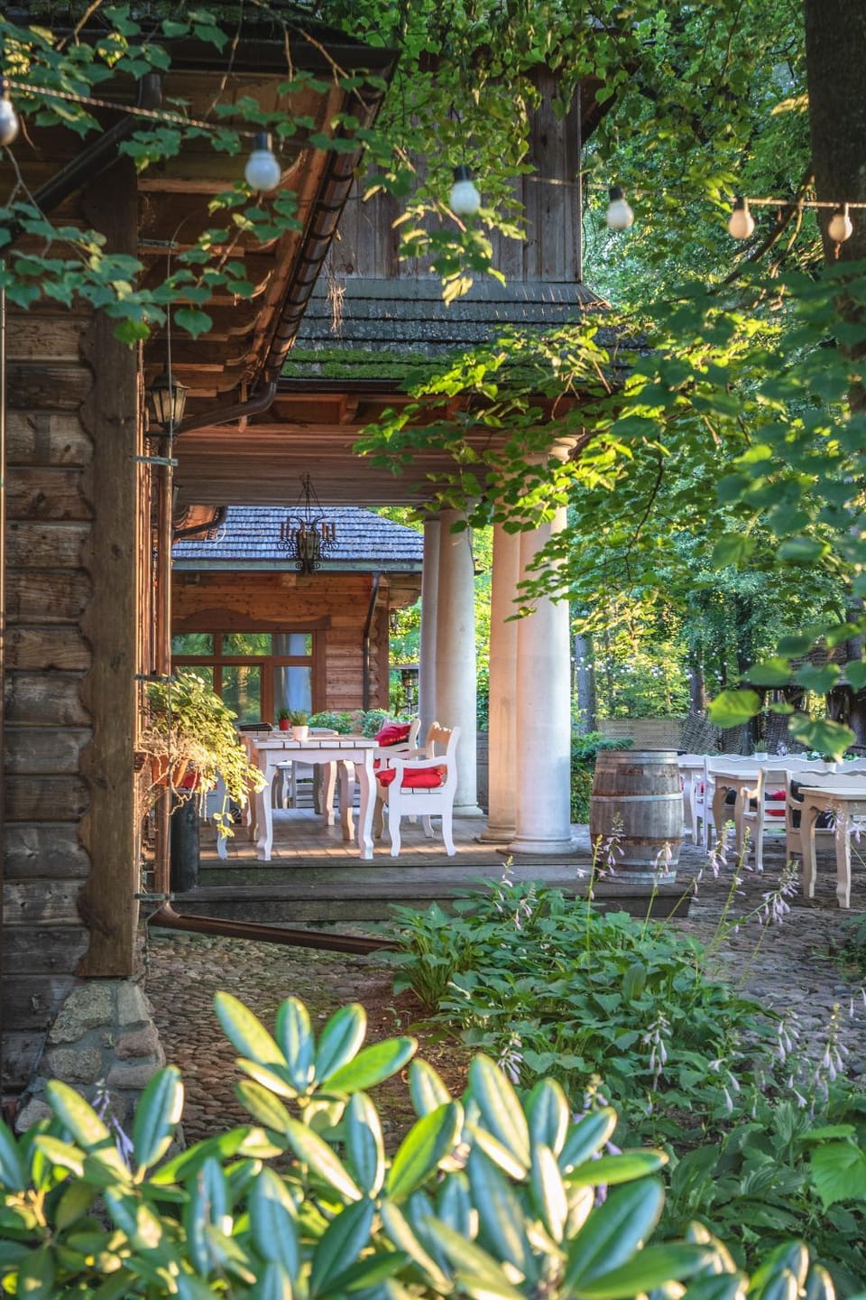 Garden view