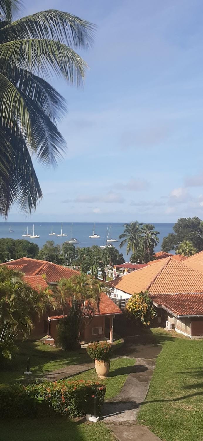 Garden view, Sea view