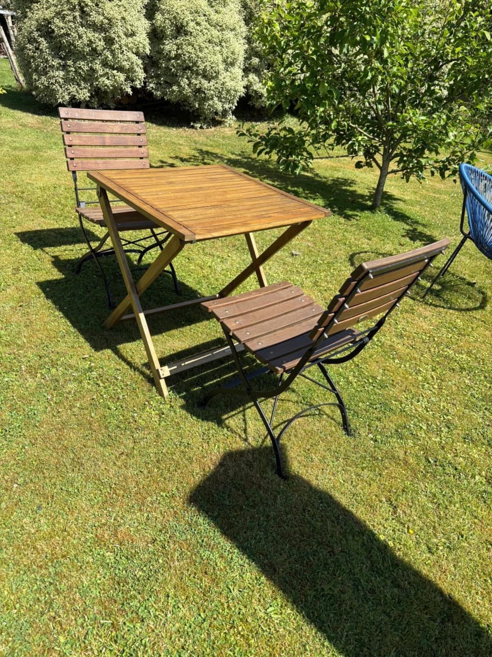 Le paradis des oiseaux Apartment in Brittany