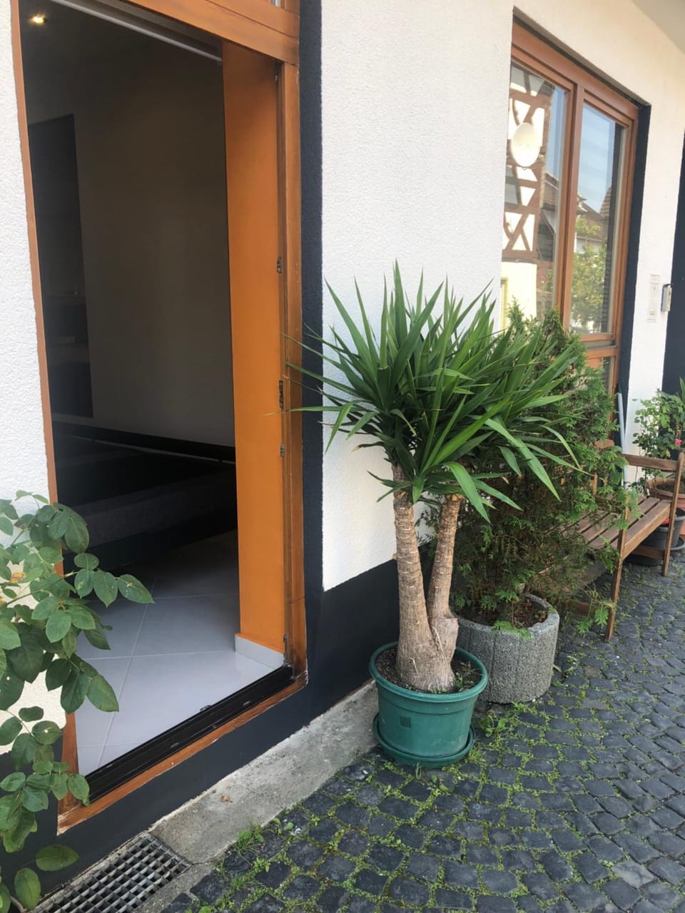 Garden view