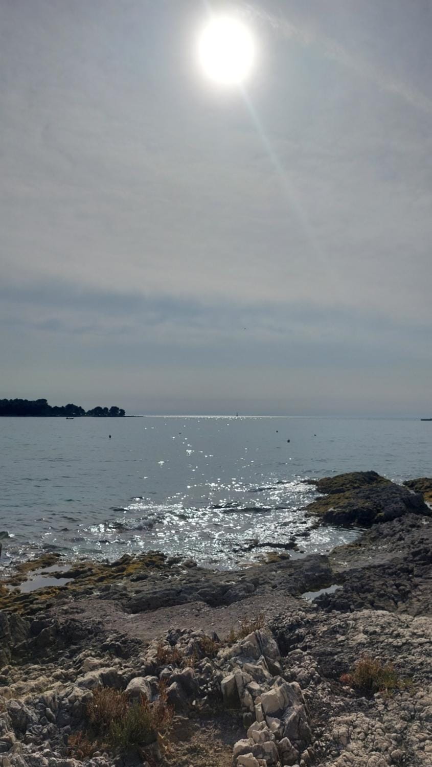 Sweet Apartment in Rovinj