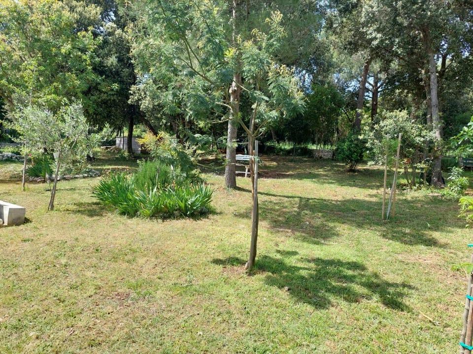 Sweet Apartment in Rovinj