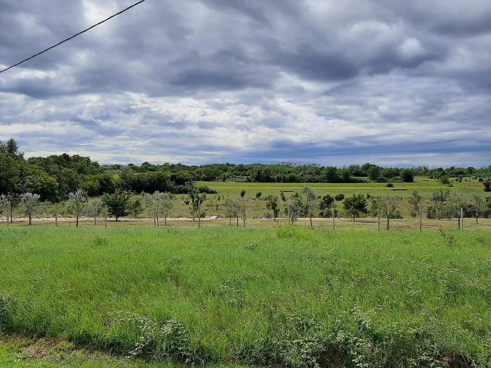 Natural landscape
