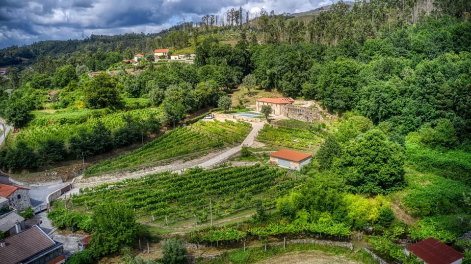Natural landscape, Bird's eye view