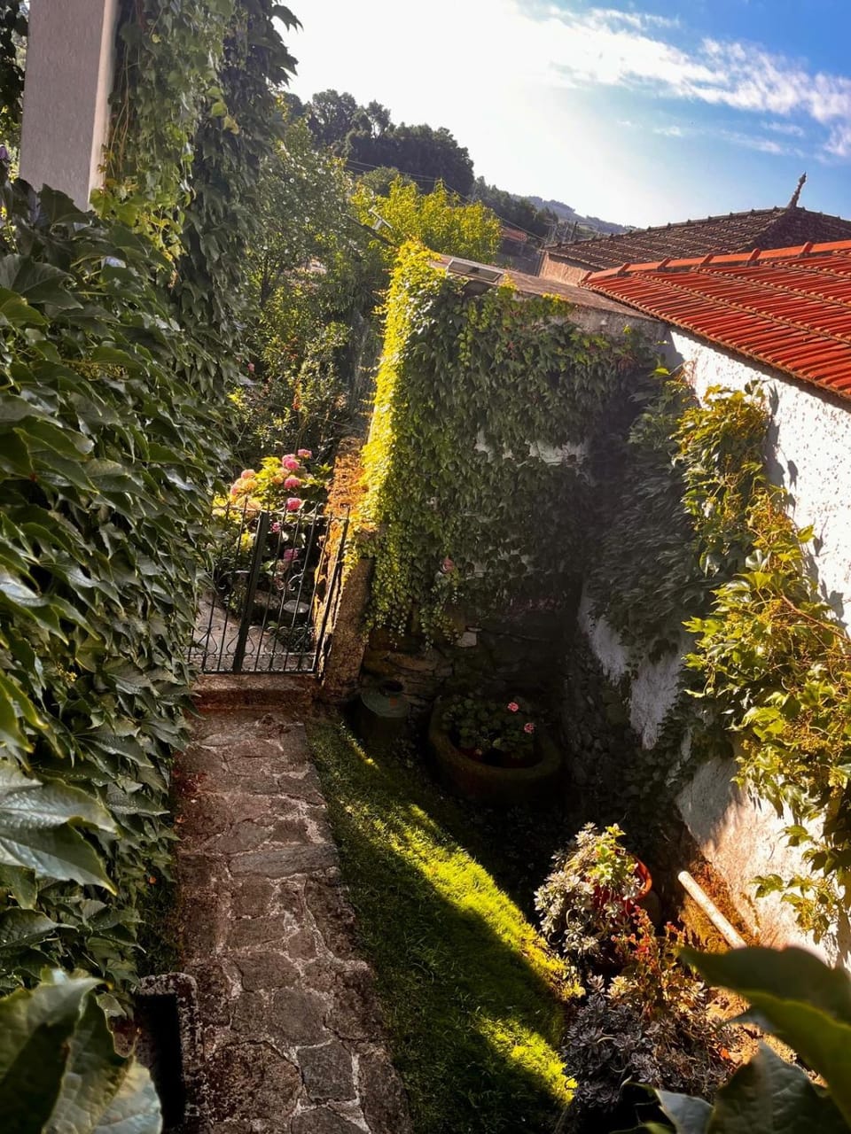 Casa do Beco B&B Douro - Guest House House in Vila Real District