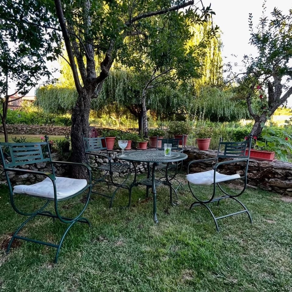 Casa do Beco B&B Douro - Guest House House in Vila Real District