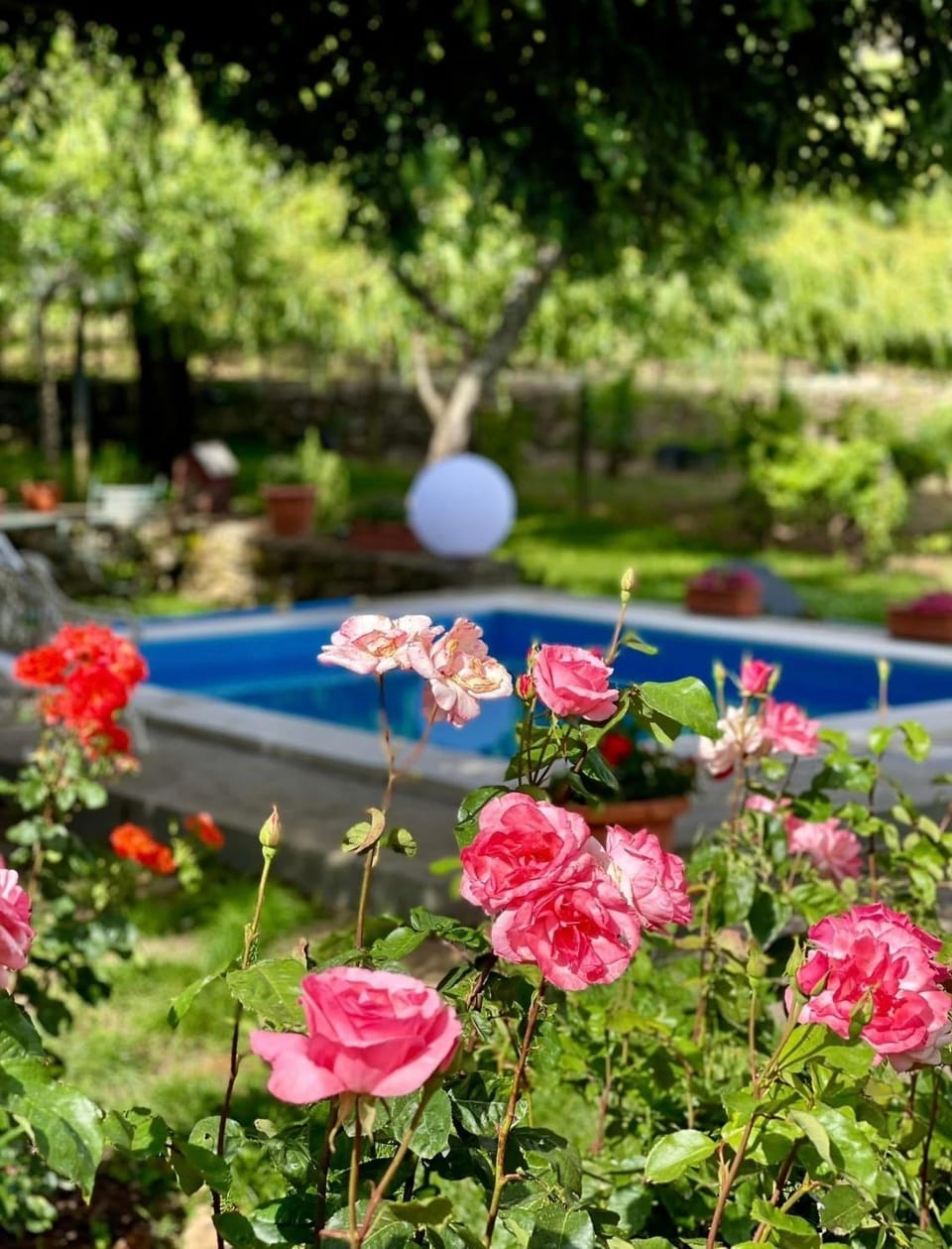 Casa do Beco B&B Douro - Guest House House in Vila Real District