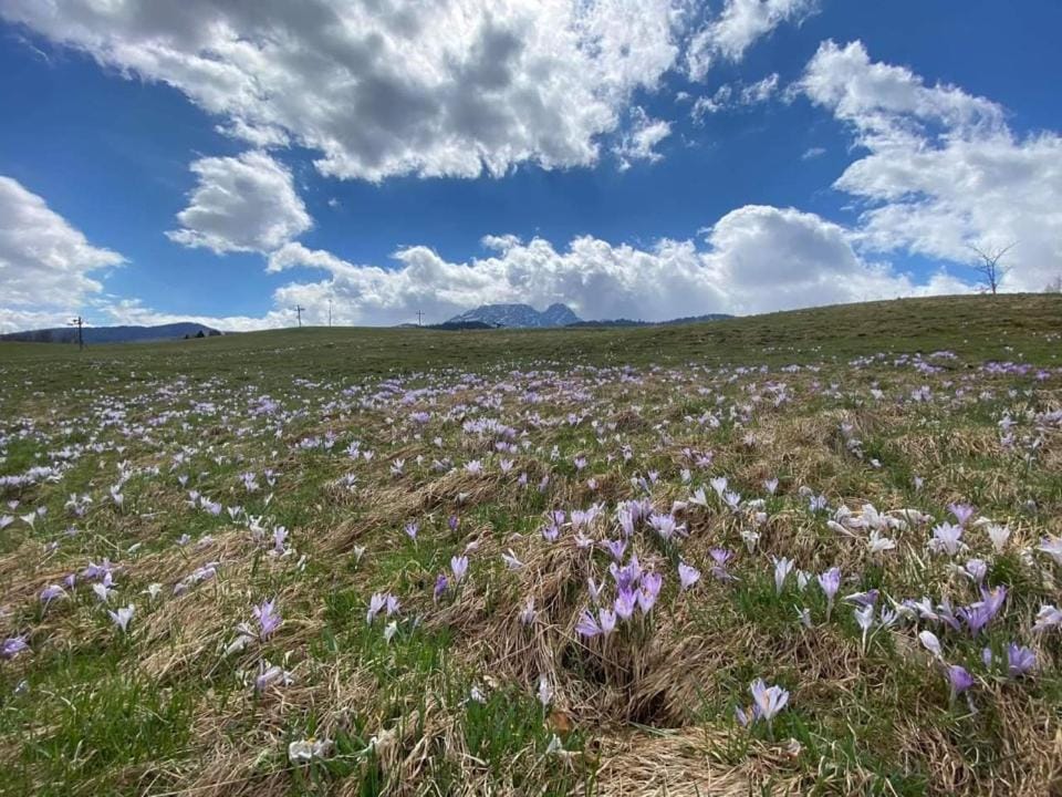 Natural landscape, Hiking