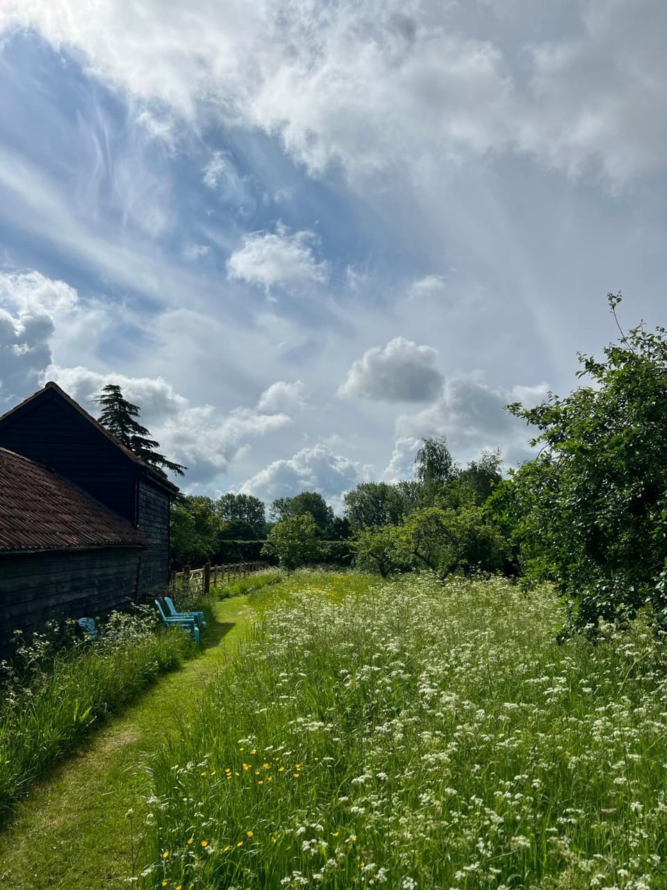 Gorgeous comfortable barn with huge private orchard in quiet Suffolk location Apartment in St Edmundsbury District