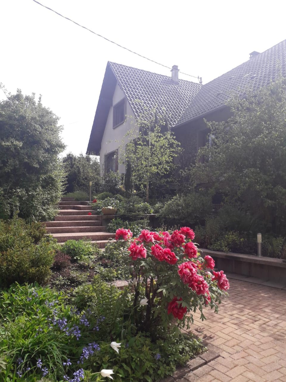 Chambre d'hôtes du schneeberg Bed and Breakfast in Grand Est