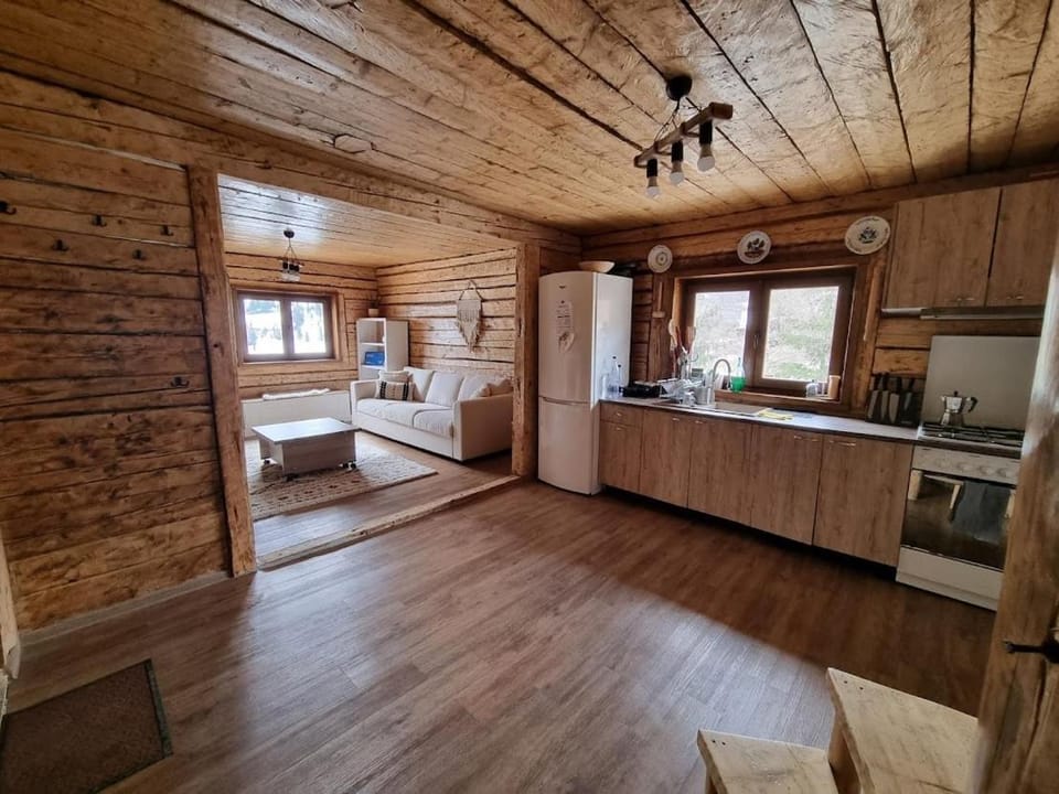 Kitchen or kitchenette, Living room, kitchen
