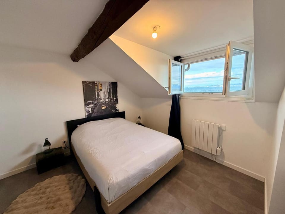 BORD DE LAC,2 chambres SUPERBE VUE LAC 5mn Evian Apartment in Haute-Savoie