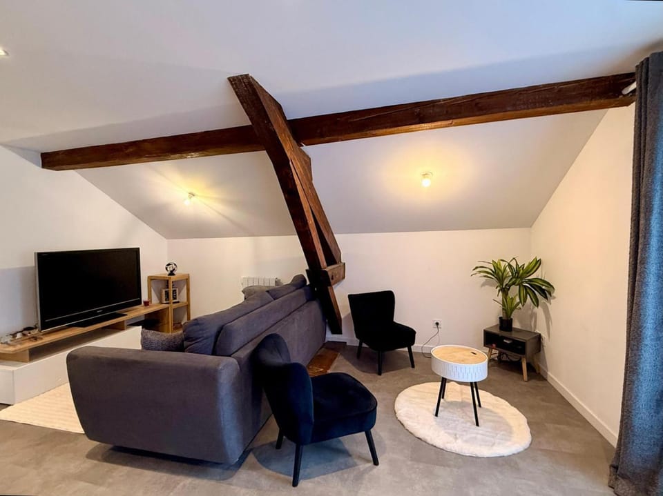 BORD DE LAC,2 chambres SUPERBE VUE LAC 5mn Evian Apartment in Haute-Savoie