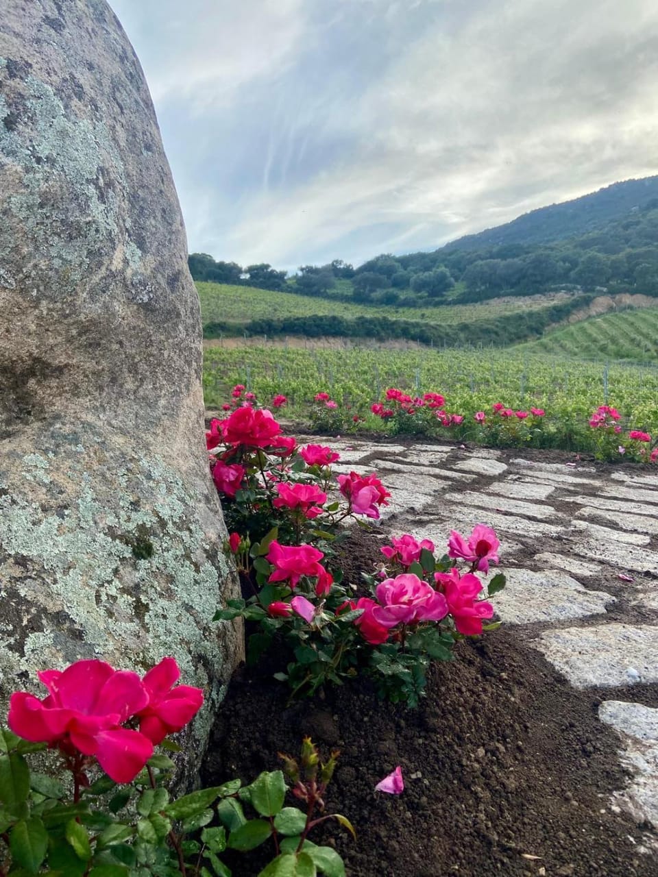 Natural landscape, Mountain view