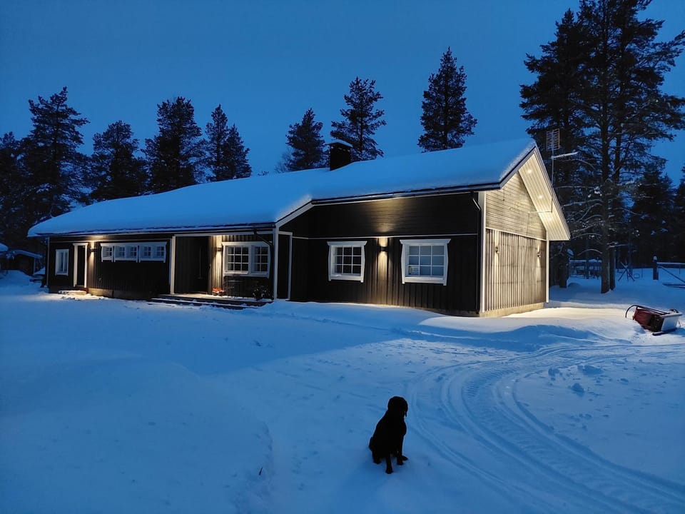 Property building, Winter, Pets