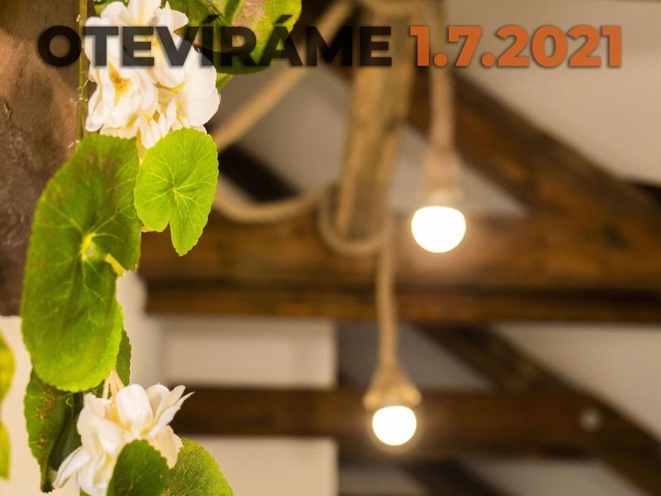 Apartmánový dům 13 Podkroví 2 Apartment in Czechia