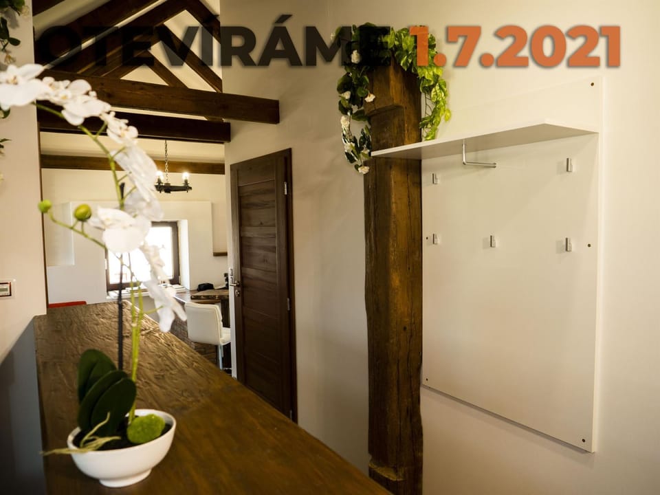 Apartmánový dům 13 Podkroví 2 Apartment in Czechia