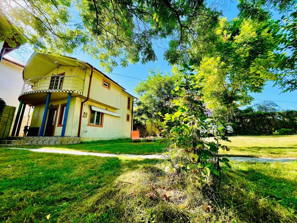 Property building, Garden, Garden view