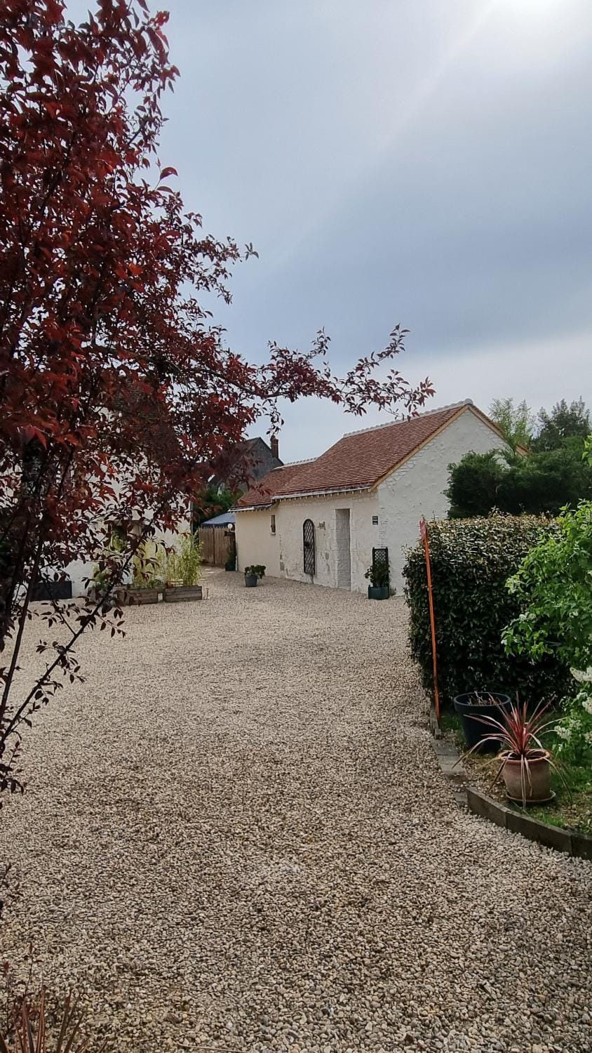 Gites de charme avec piscine - proche Amboise et Châteaux de la Loire House in Centre-Val de Loire