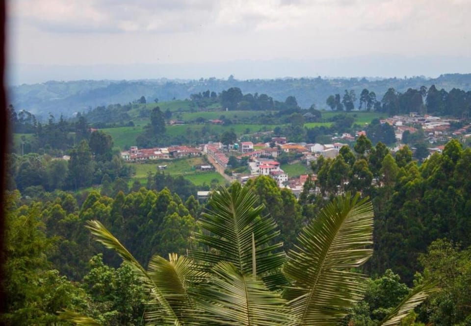 City view