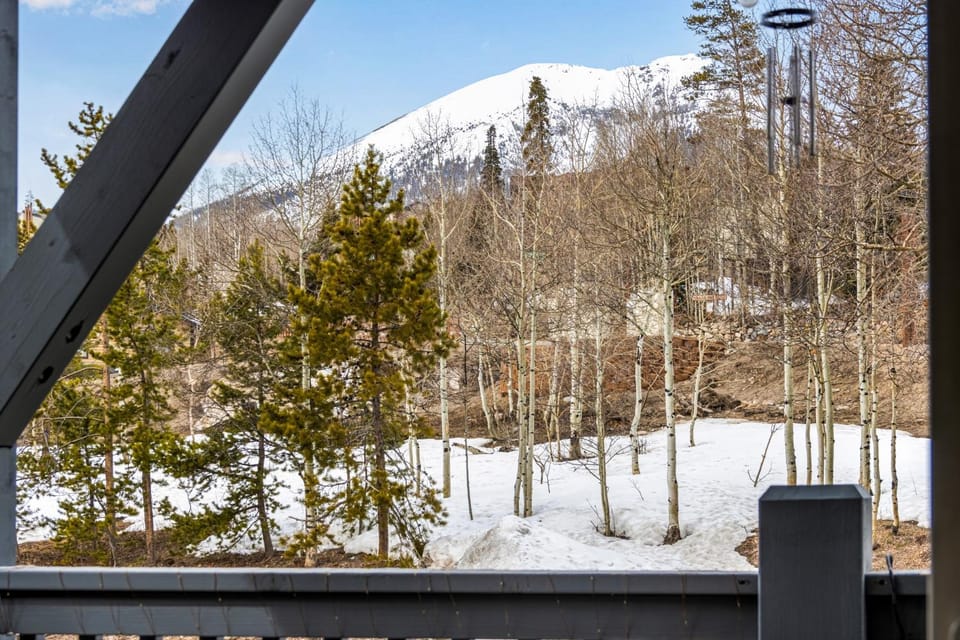 Sunshine & Snowfall Apartment in Wildernest