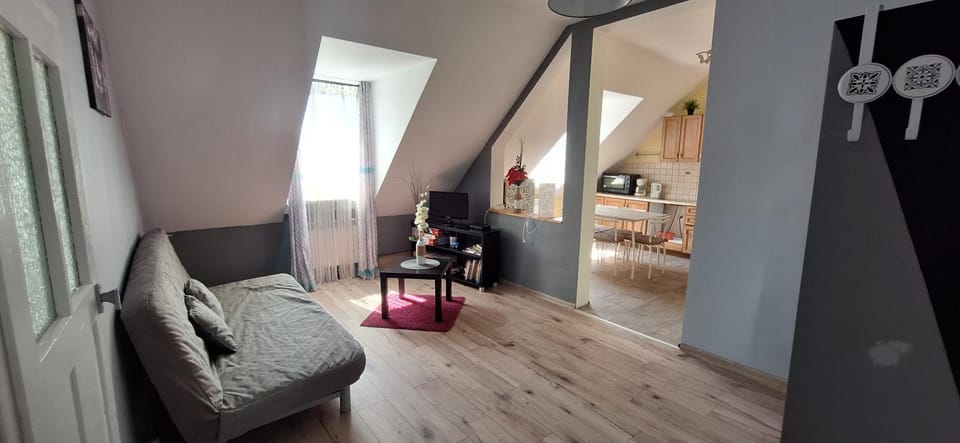 Living room, kitchen