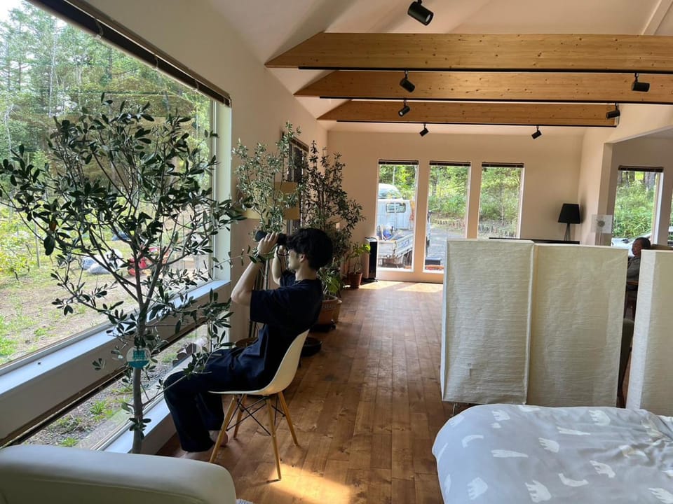 People, Garden, Photo of the whole room