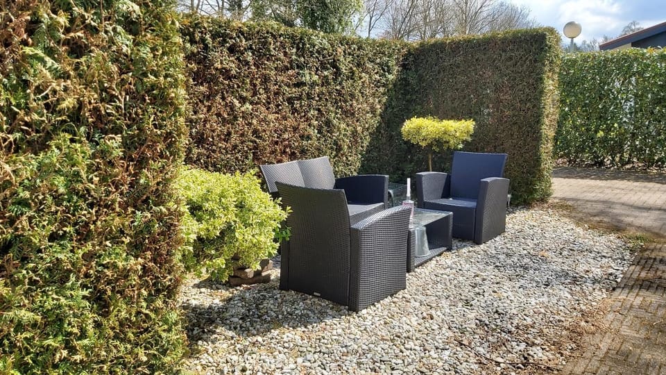 Patio, Garden