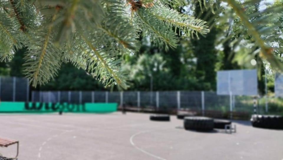 Tennis court