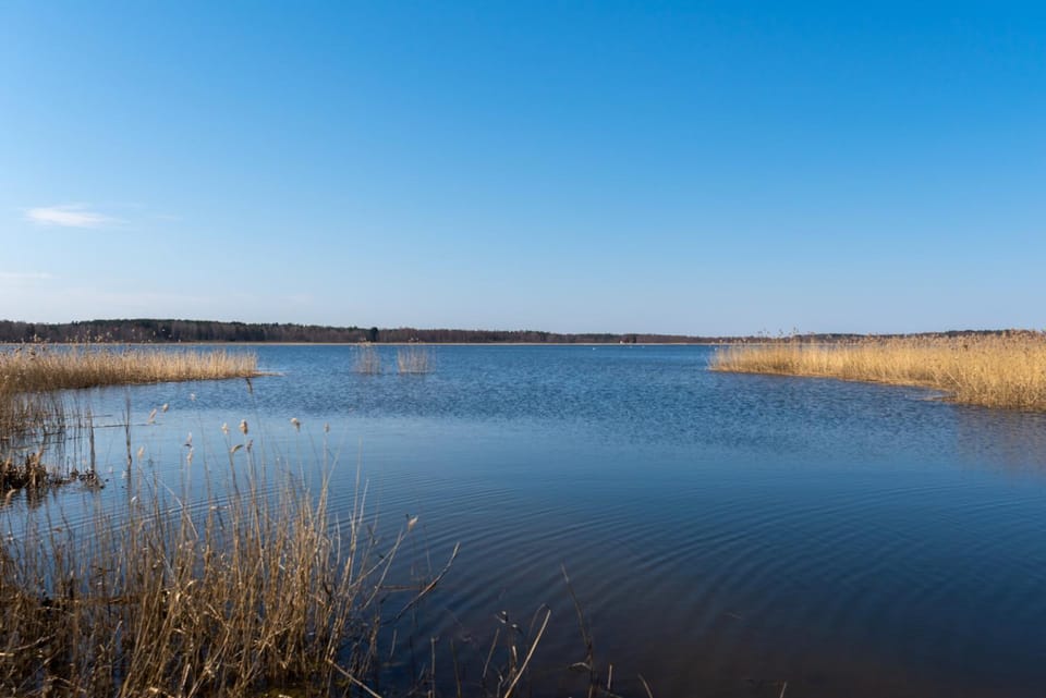 Tamula Lake View Apartment Apartment in Estonia