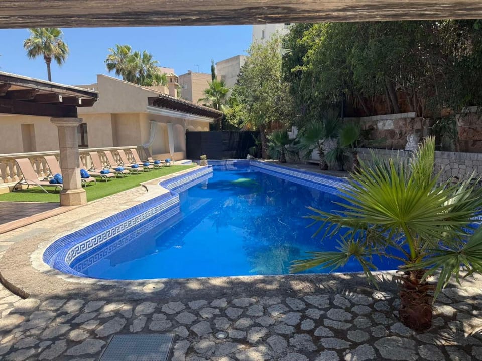 Garden, Garden view, Pool view, Swimming pool, sunbed