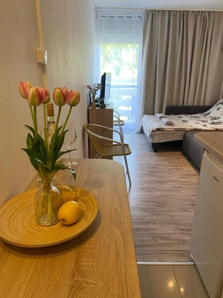 Silver Beach Retreat Apartment in Siófok
