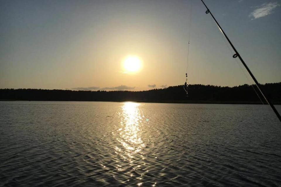 Lake view