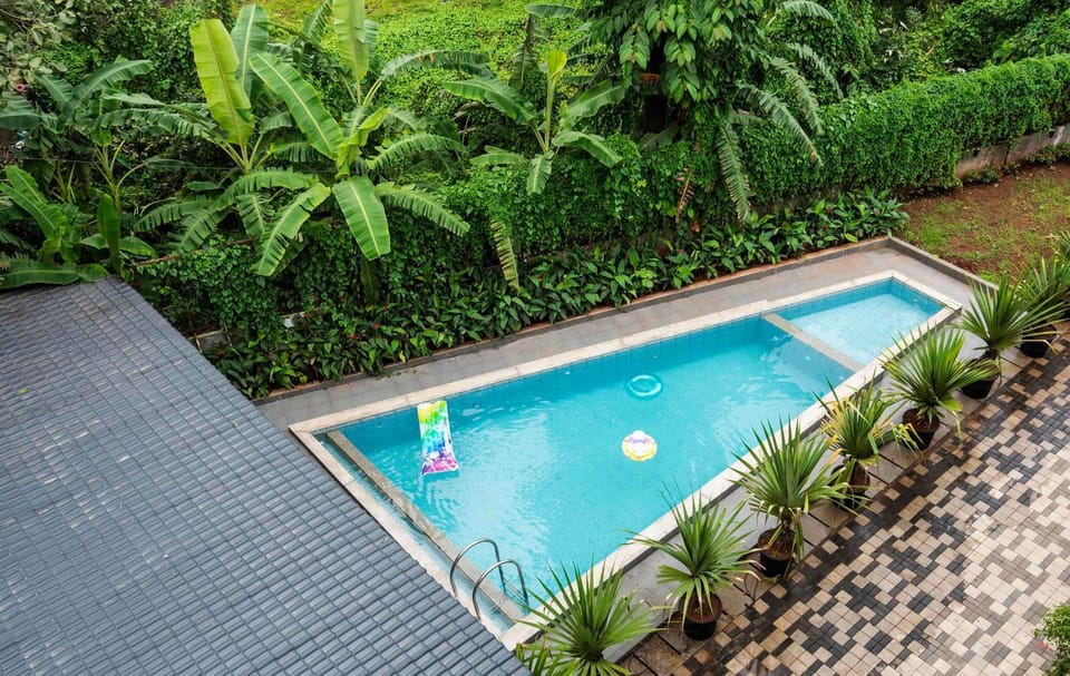 Pool view, Swimming pool