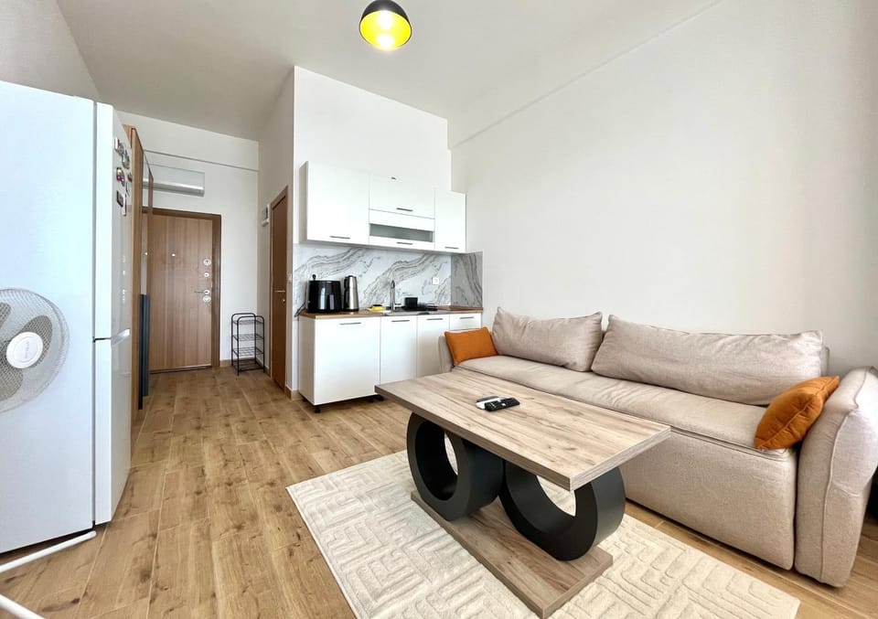 Kitchen or kitchenette, Living room, Seating area, stove